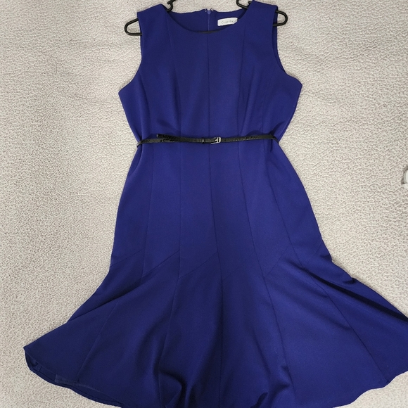 Calvin Klein Beautiful Blue Belted Sleeveless Pleated Dress - Picture 9 of 16
